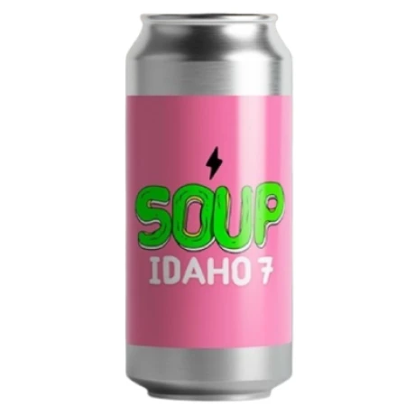 Garage Soup Idaho 7
